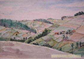 W�adys�aw Jachimowicz